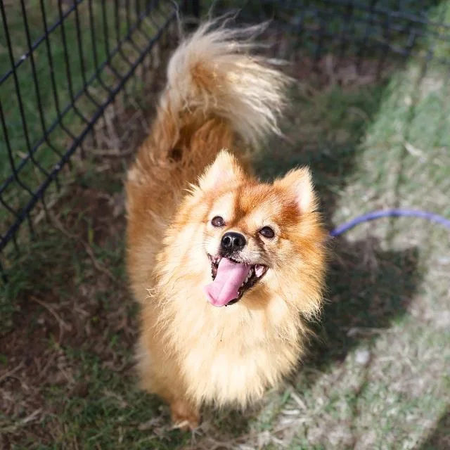 Zeus