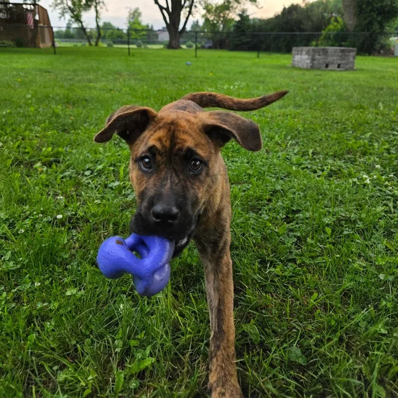 Maggie thumbnail 2