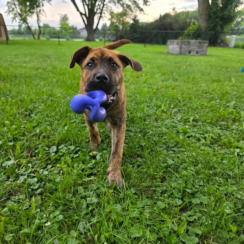 Maggie thumbnail 3