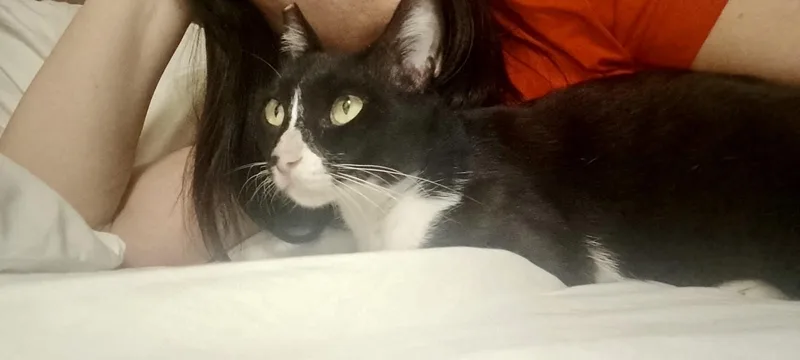 Lilly  The Sweet thumbnail 2