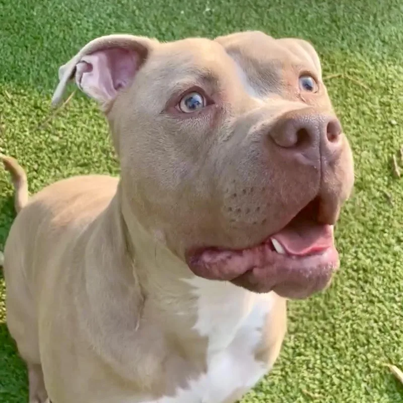 Sevenwonderful  Silly Boy thumbnail 2