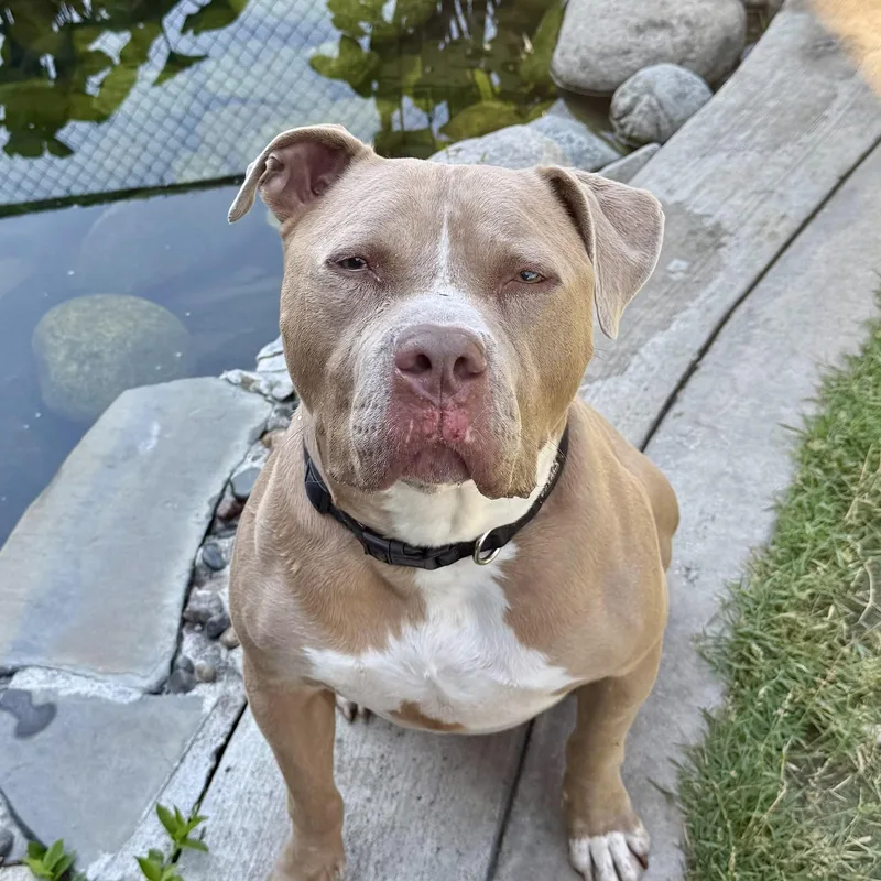 Sevenwonderful  Silly Boy thumbnail 5