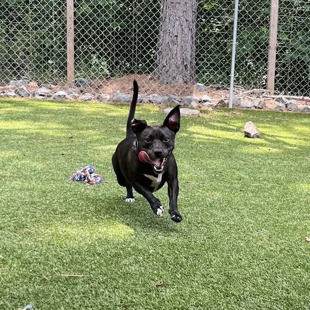 Ms Molly thumbnail 6