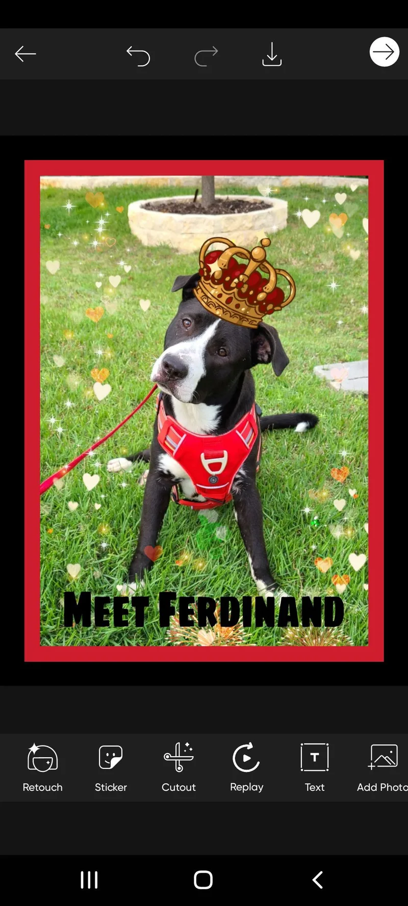 Ferdinand thumbnail 3