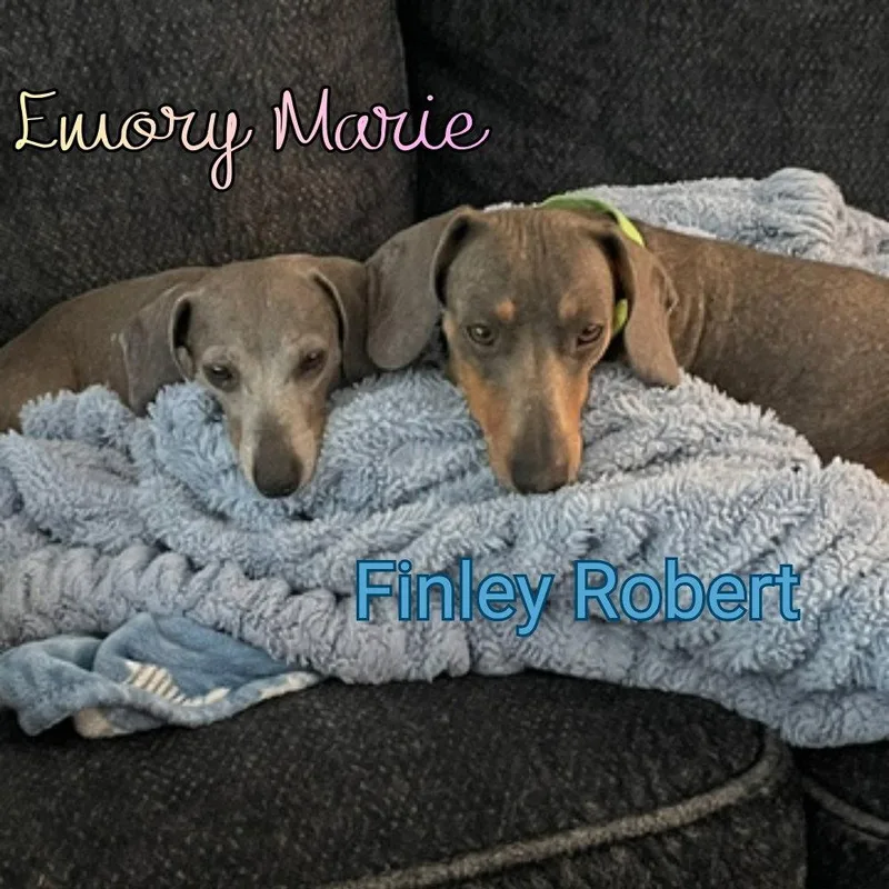 Emory Marie