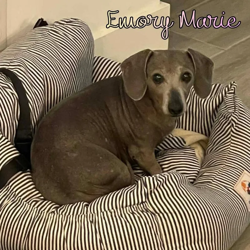 Emory Marie thumbnail 2