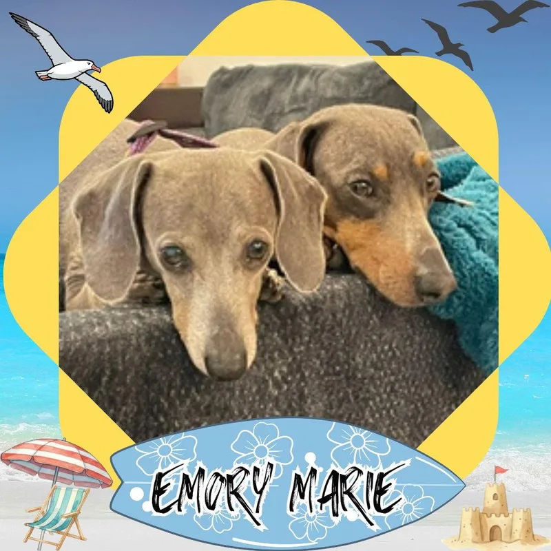 Emory Marie thumbnail 3