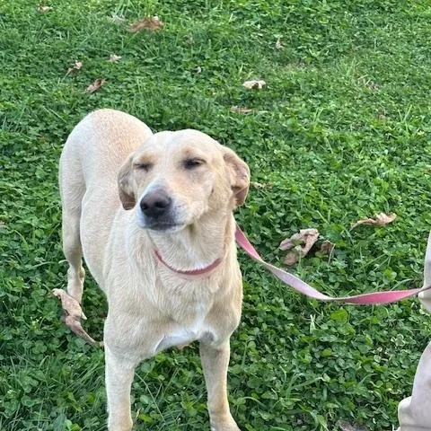 Sandy Momma Fizz thumbnail 2