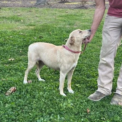 Sandy Momma Fizz thumbnail 5