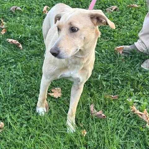 Sandy Momma Fizz thumbnail 6