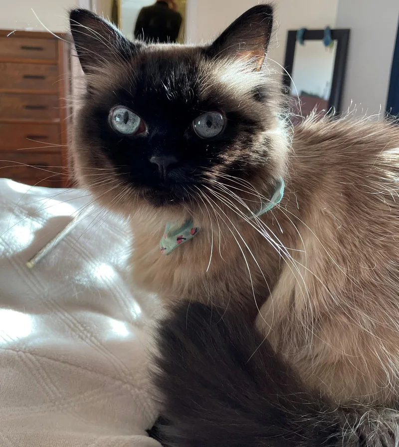 Sake   Offered thumbnail 2