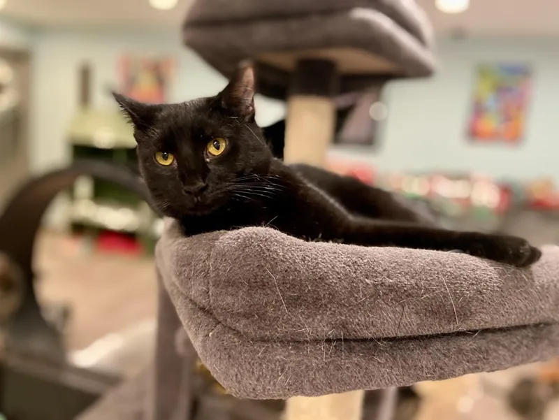 Wednesday thumbnail 3