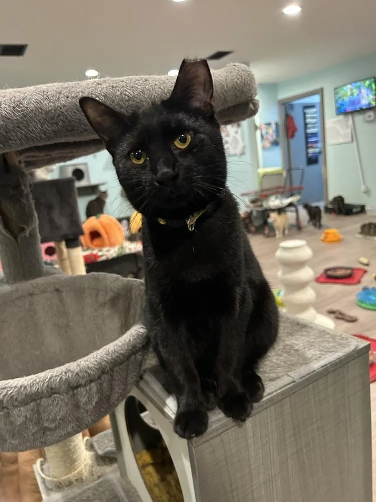 Wednesday thumbnail 5