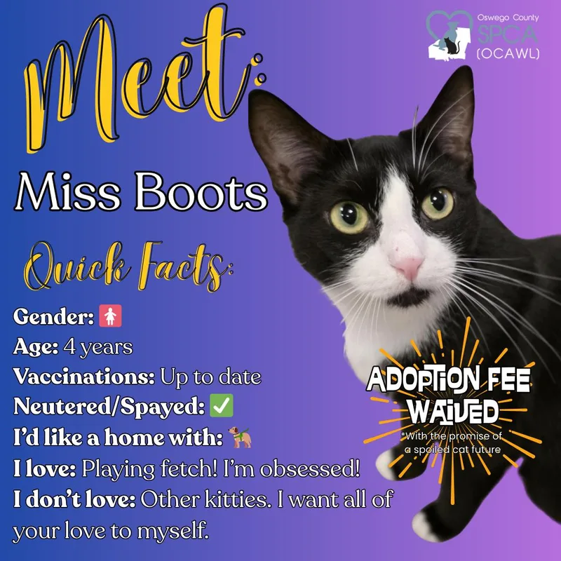 Miss Boots