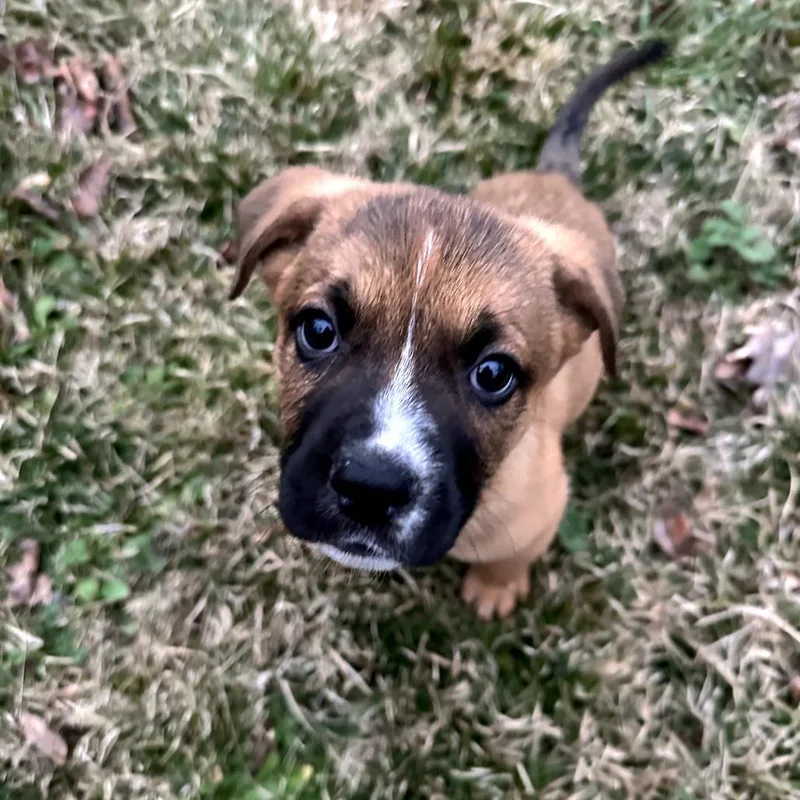 Aquarius thumbnail 2