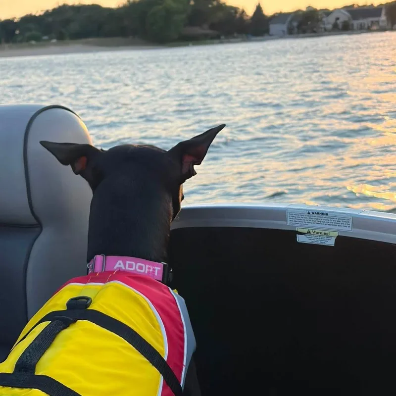 Lola thumbnail 4