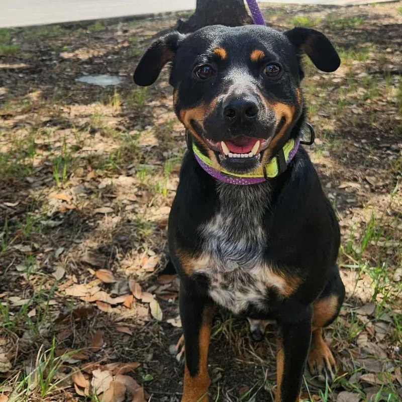 Rusty Mc thumbnail 2