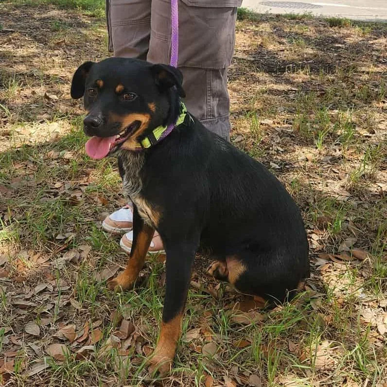 Rusty Mc thumbnail 3