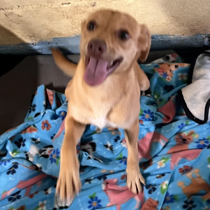 Smiley Miley thumbnail 2