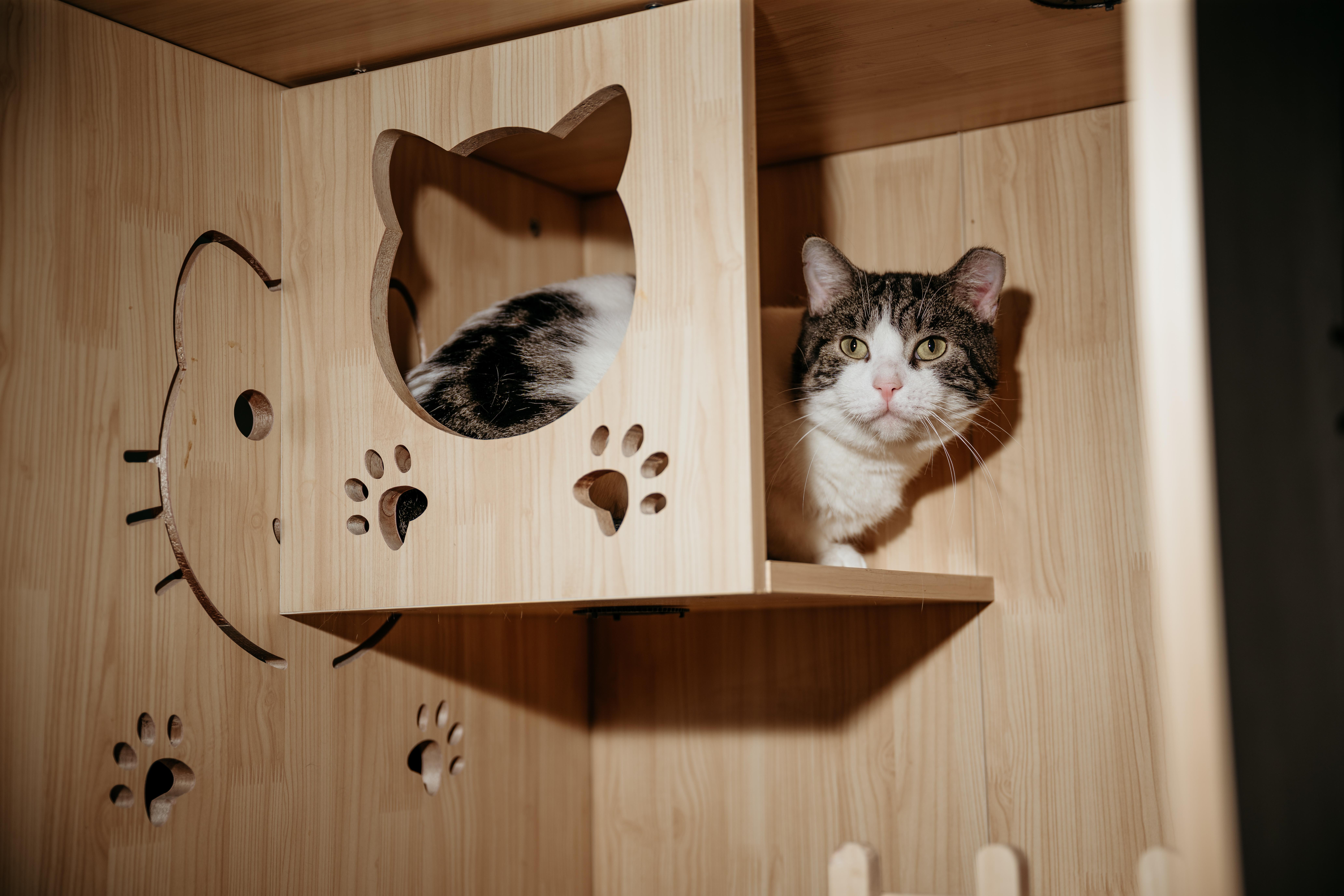 Mario And Luigi thumbnail 2