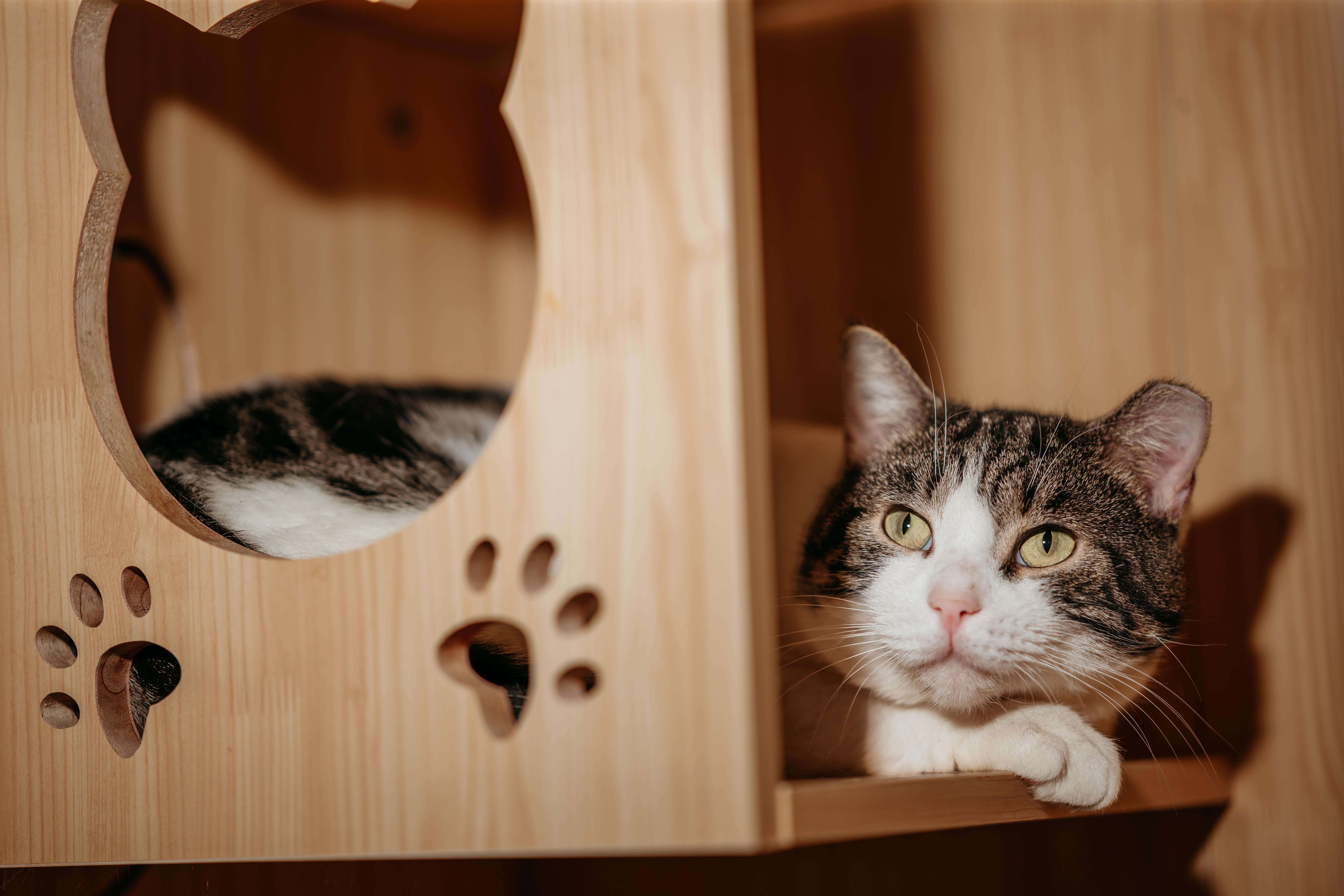 Mario And Luigi thumbnail 4