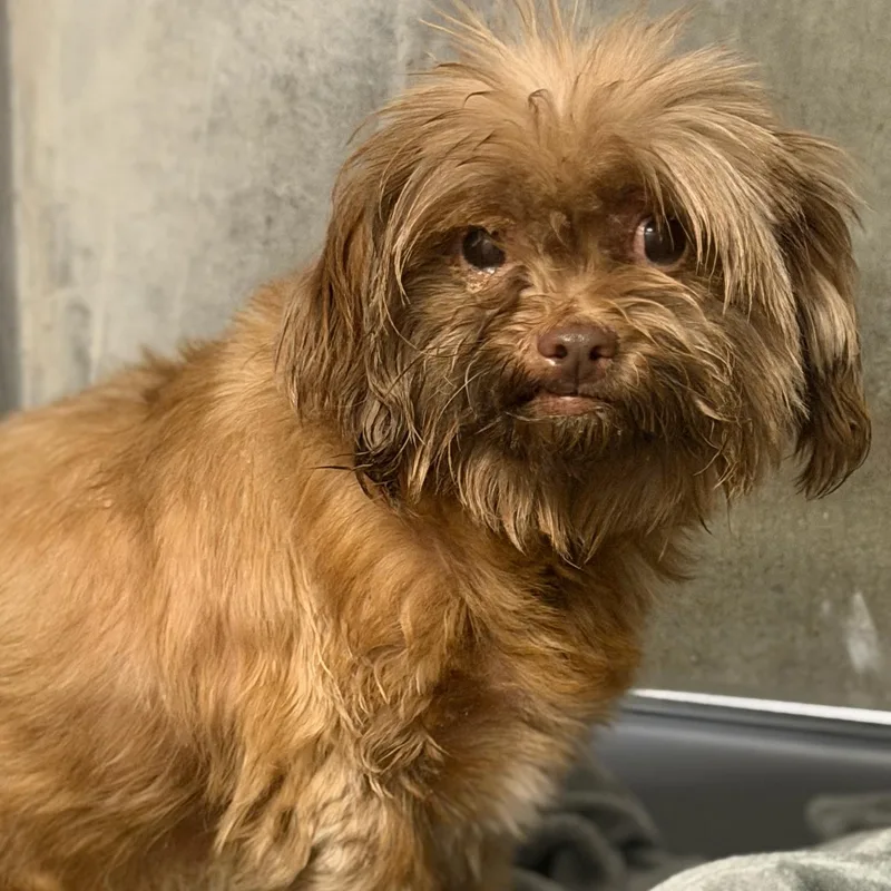 Billie & Tuck thumbnail 3