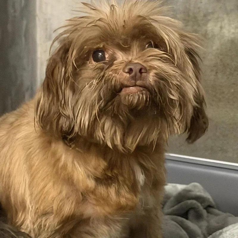 Billie & Tuck thumbnail 4