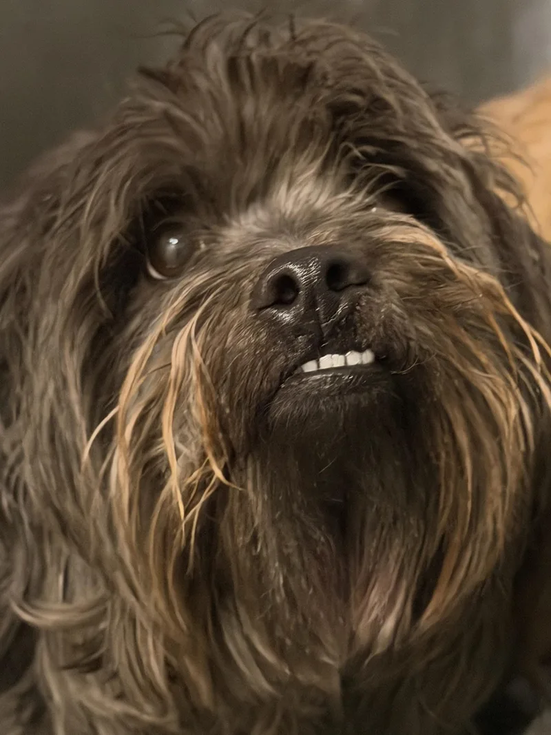 Billie & Tuck thumbnail 6