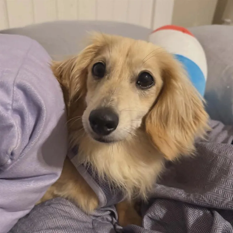 Minnie thumbnail 4