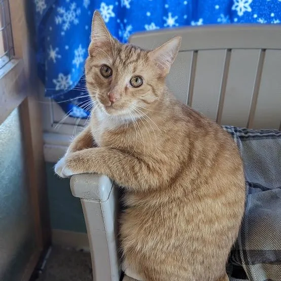 Mike Hannigan thumbnail 3