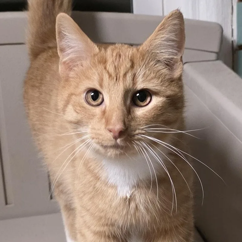 Mike Hannigan thumbnail 5