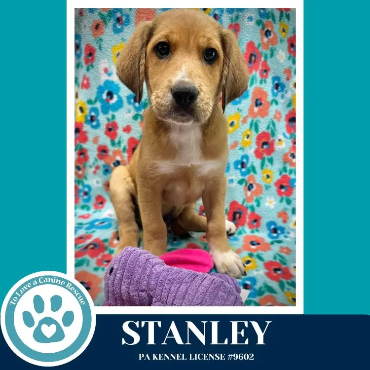 Stanley