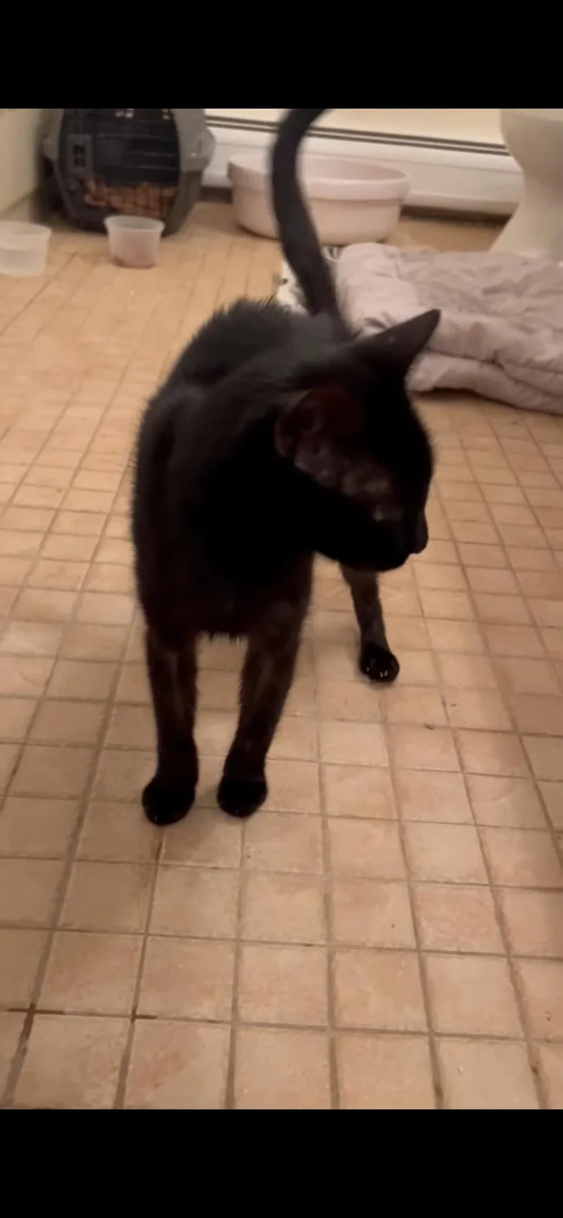 Susie F  Yo thumbnail 2