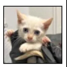 Nancy thumbnail 2