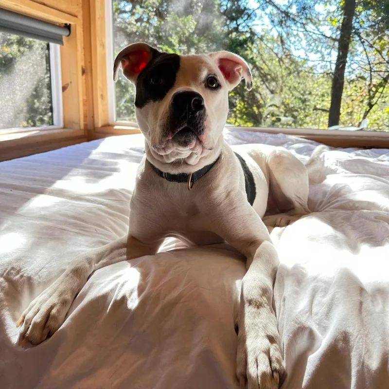 Ferguson thumbnail 3