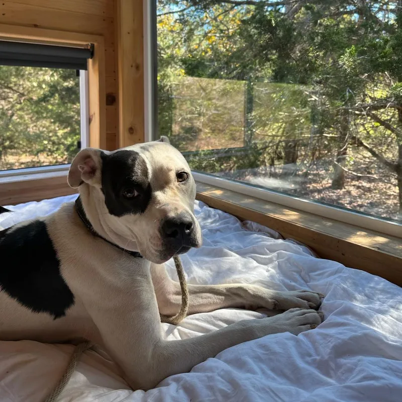 Ferguson thumbnail 4