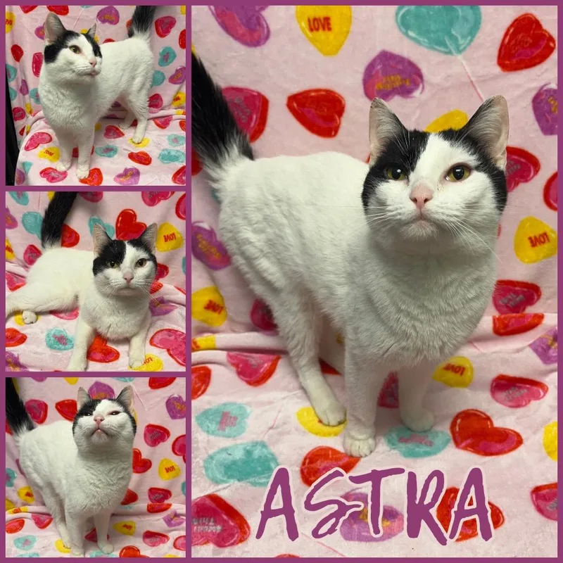 Astra