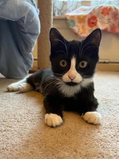 Colorado thumbnail 2