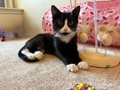 Colorado thumbnail 3