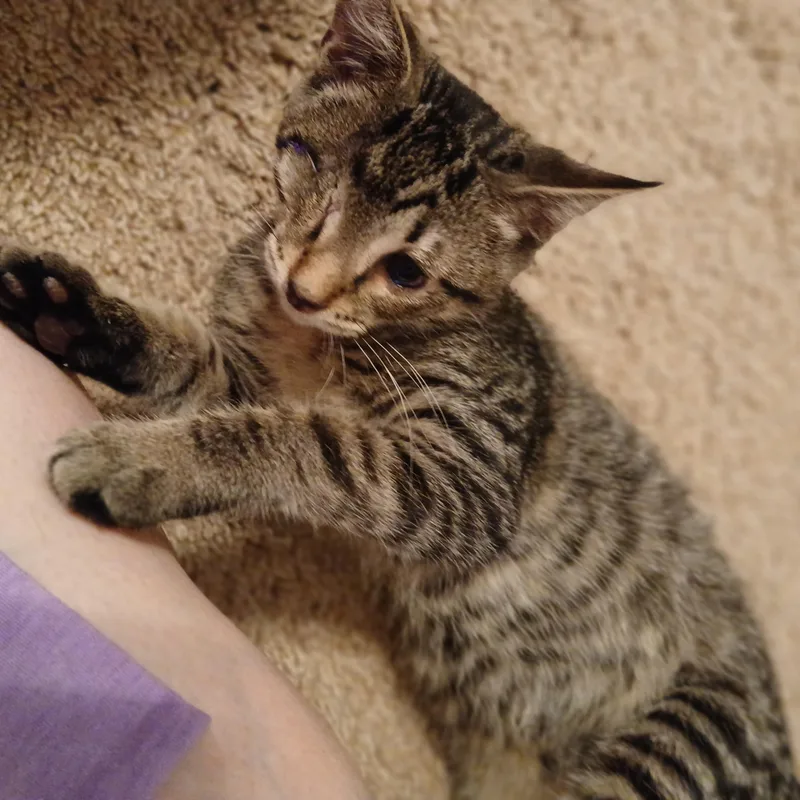 Oliver
