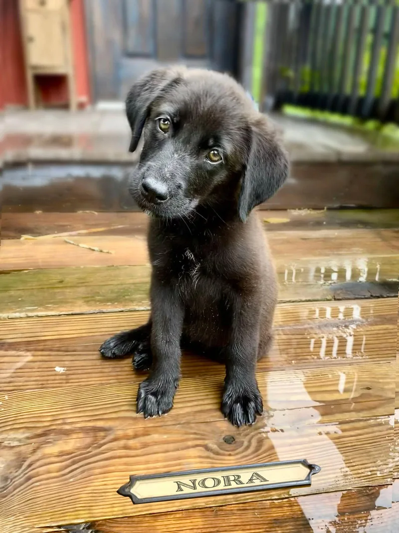 Nora  Curious today. thumbnail 2