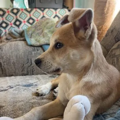 Annabeth thumbnail 2