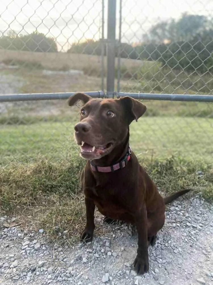 Stella Grace thumbnail 2