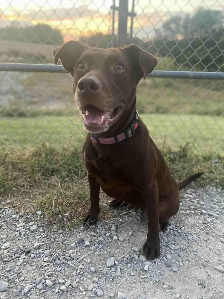 Stella Grace thumbnail 3