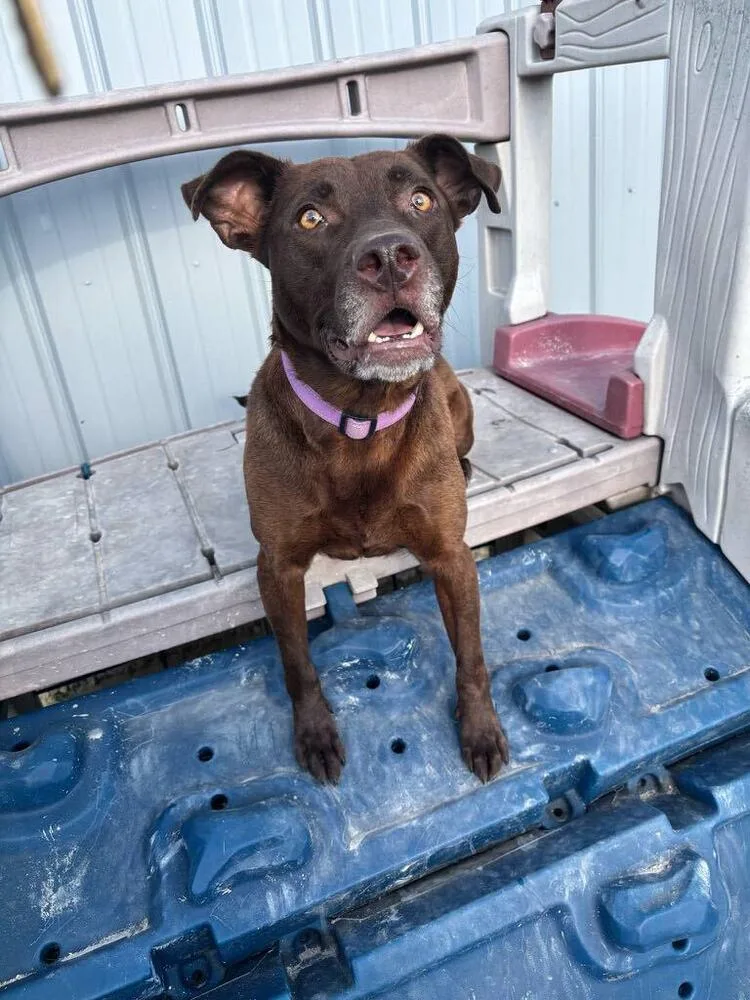 Stella Grace thumbnail 4