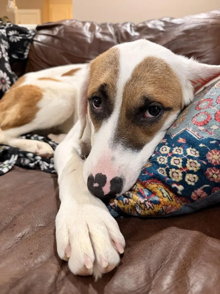 Fallon Feather thumbnail 2