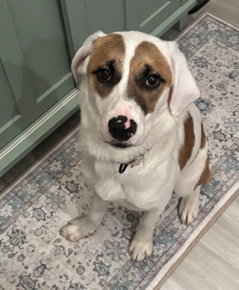 Fallon Feather thumbnail 3