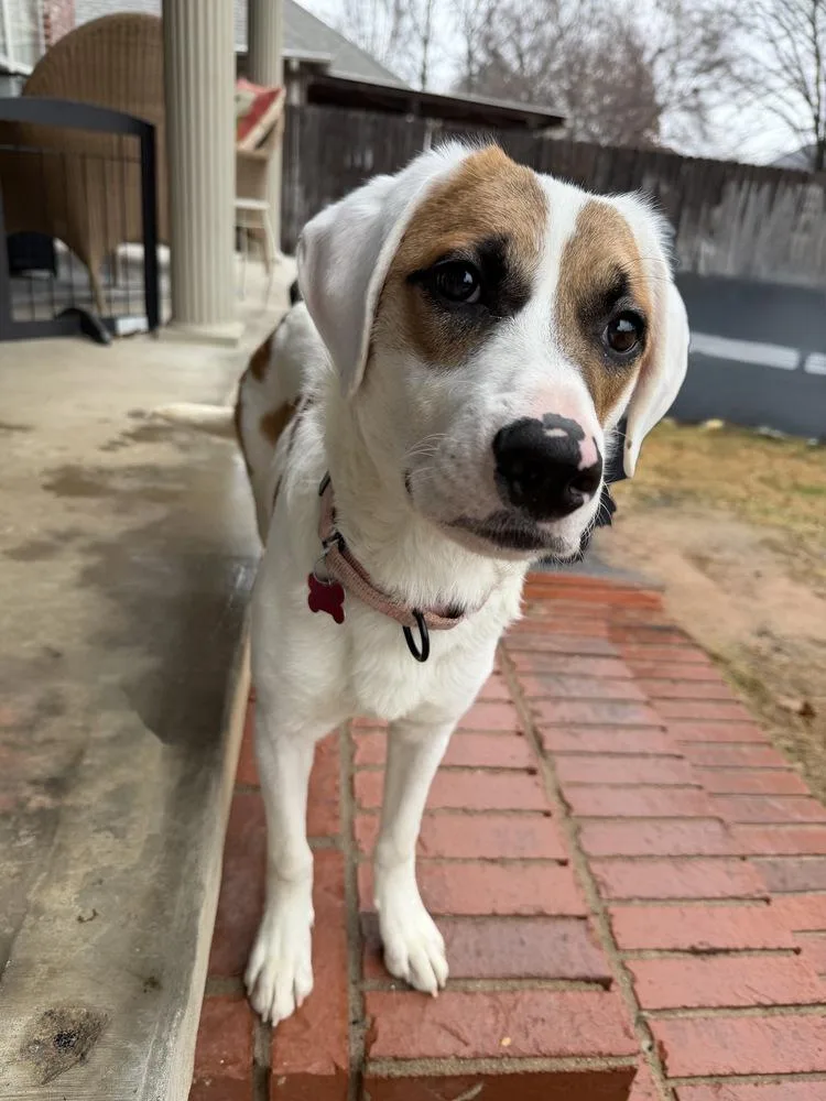 Fallon Feather thumbnail 4