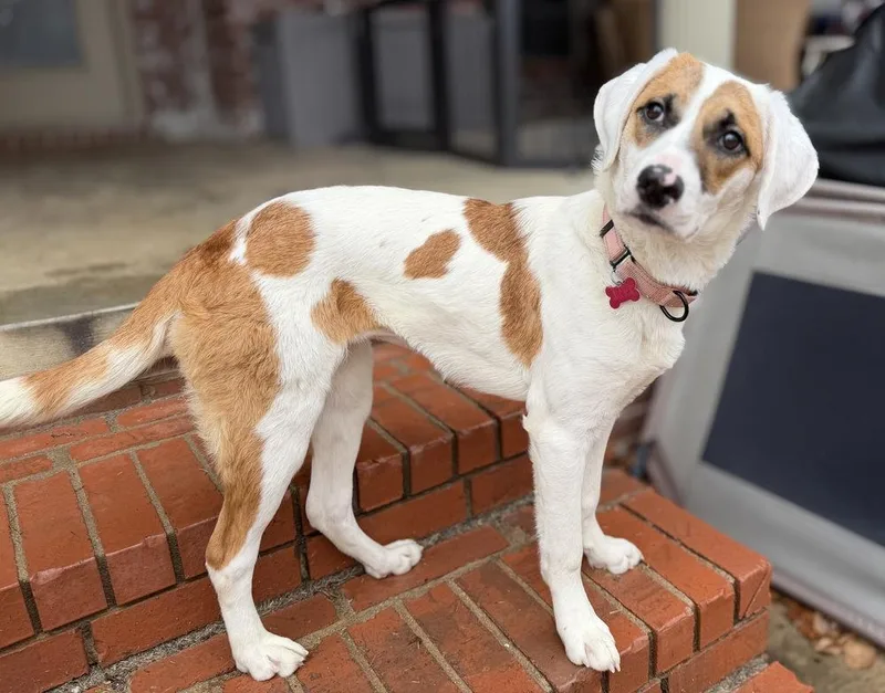 Fallon Feather thumbnail 5