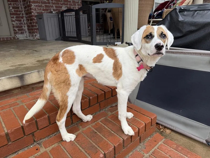 Fallon Feather thumbnail 6